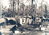 Baghdad-Old